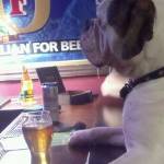 Funny Bar Picture Compilation